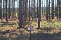 Recreational Property for sale in Sabine Parish, Louisiana