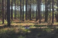 Land for sale in Sabine Parish, Louisiana