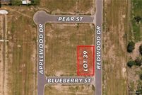 Land for sale in Hidalgo County, Texas