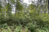 Land for sale in Crow Wing County, Minnesota