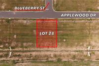 Land for sale in Hidalgo County, Texas