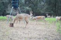 Land for sale in Greer County, Oklahoma