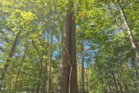 Land for sale in McDowell County, North Carolina