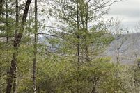 Land for sale in Henderson County, North Carolina