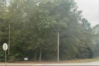 Land for sale in Wilcox County, Georgia