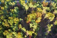 Timberland Property for sale in Franklin County, Maine