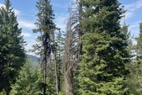Undeveloped Land for sale in Grant County, Oregon
