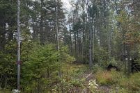 Land for sale in Montmorency County, Michigan