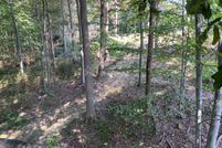Land for sale in Adams County, Ohio