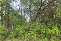 Land for sale in Citrus County, Florida