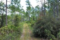 Land for sale in Franklin County, Florida