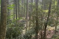 Land for sale in Ashe County, North Carolina