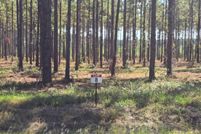 Land for sale in Sabine Parish, Louisiana