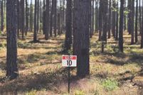Land for sale in Sabine Parish, Louisiana
