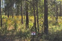 Timberland Property for sale in Sabine Parish, Louisiana