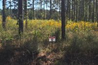 Undeveloped Land for sale in Sabine Parish, Louisiana