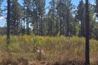 Farm and Ranch for sale in Sabine Parish, Louisiana