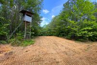Land for sale in Pickens County, Alabama