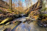 Undeveloped Land for sale in Walker County, Alabama