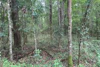 Farm and Ranch for sale in Leon County, Florida