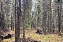 Undeveloped Land for sale in Fairbanks North Star Borough, Alaska