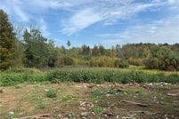 Undeveloped Land for sale in Oswego County, New York
