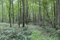 Land for sale in Polk County, Georgia