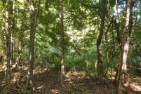 Land for sale in Johnson County, Illinois