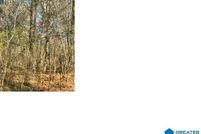 Land for sale in Talladega County, Alabama