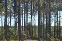 Land for sale in Sabine Parish, Louisiana