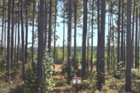 Homesite for sale in Sabine Parish, Louisiana