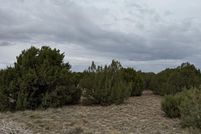 Land for sale in Apache County, Arizona