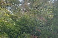 Land for sale in Rabun County, Georgia