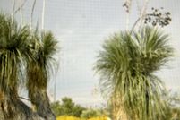 Undeveloped Land for sale in Hudspeth County, Texas