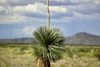 Land for sale in Hudspeth County, Texas