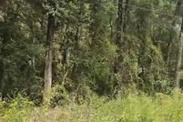 Land for sale in Marion County, Florida