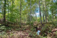 Land for sale in Walker County, Alabama