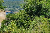 Land for sale in Taney County, Missouri