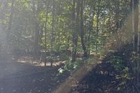 Land for sale in Watauga County, North Carolina