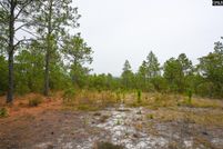 Land for sale in Lexington County, South Carolina