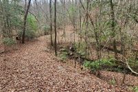 Land for sale in Union County, Georgia