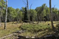 Homesite for sale in Gunnison County, Colorado