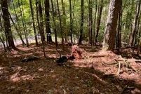 Land for sale in Gilmer County, Georgia