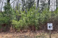 Undeveloped Land for sale in Union County, Georgia