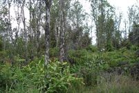 Undeveloped Land for sale in Hawaii County, Hawaii