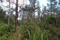 Farm and Ranch for sale in Hawaii County, Hawaii