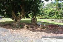 Farm and Ranch for sale in Hawaii County, Hawaii