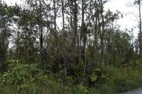 Farm and Ranch for sale in Hawaii County, Hawaii