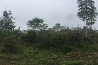 Farm and Ranch for sale in Hawaii County, Hawaii