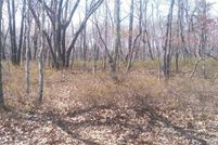 Homesite for sale in Luzerne County, Pennsylvania